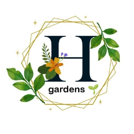 https://riyadlandskib.com
